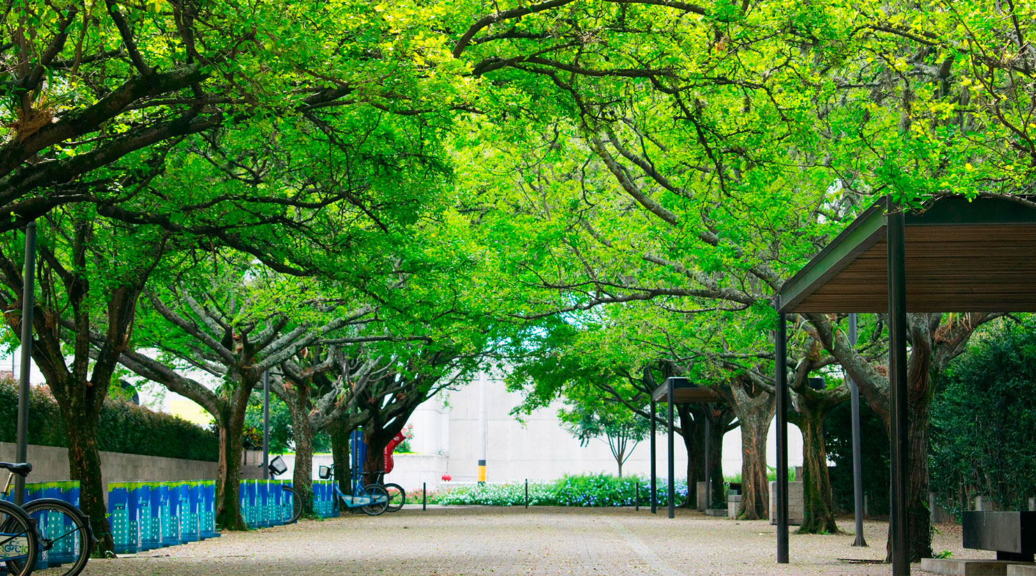 Vista urbana de Medellín destacando su calidad de vida y entorno moderno
